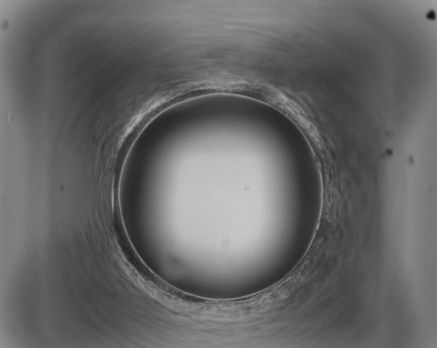 X0000087400011200704271659