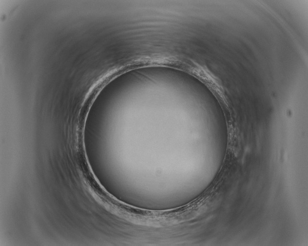 X0000087400012200704271658