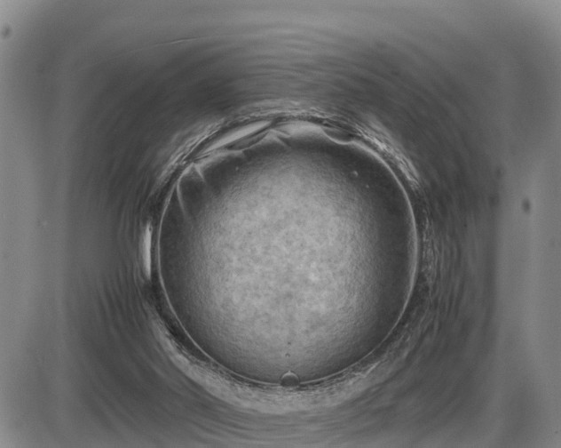 X0000087400014200704271658