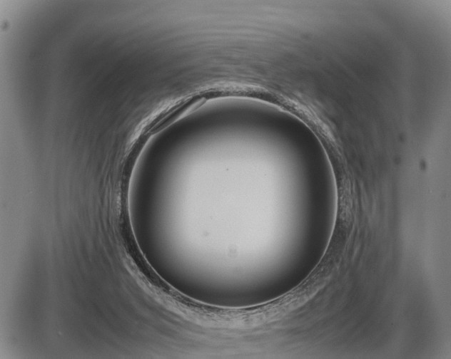 X0000087400015200704271658