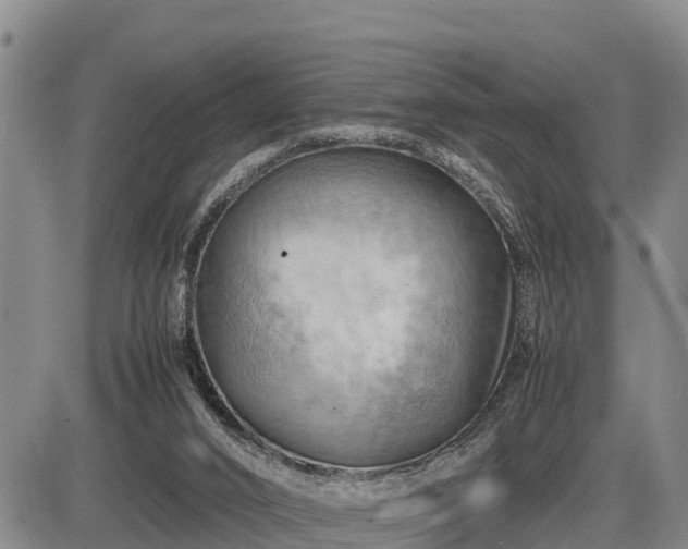 X0000087400016200704271658