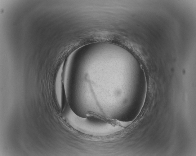 X0000087400017200704271658