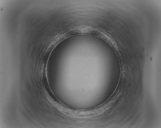 X0000087400018200704271658