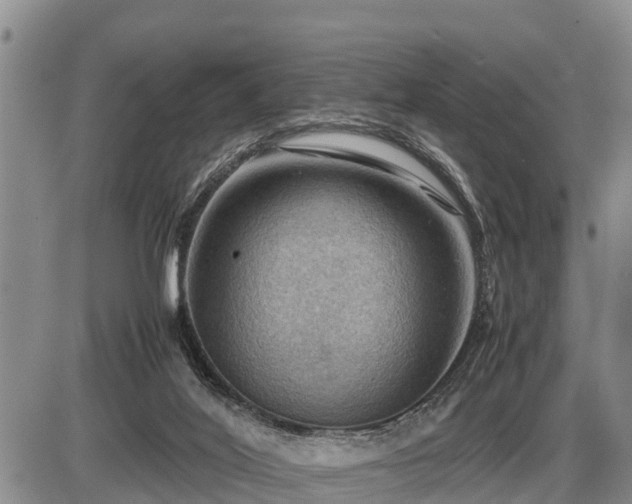 X0000087400020200704271658