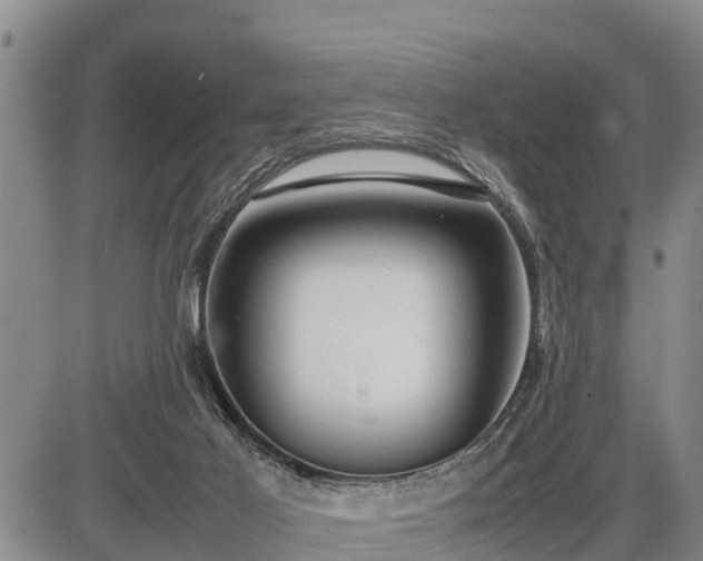 X0000087400021200704271658