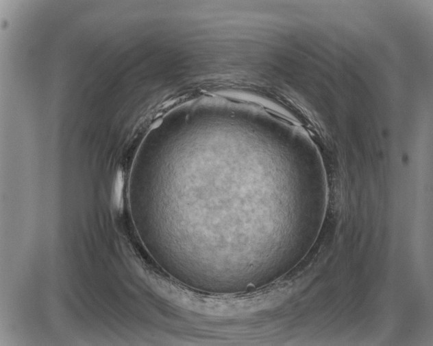 X0000087400022200704271658