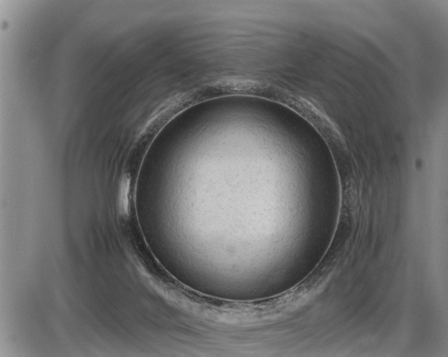 X0000087400024200704271658