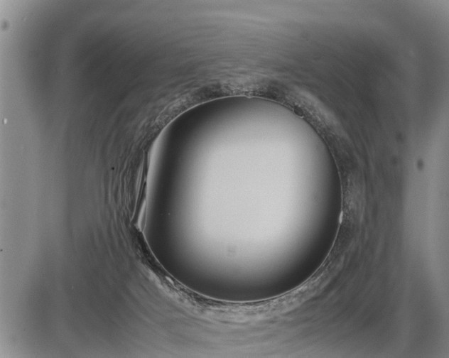 X0000087400025200704271658