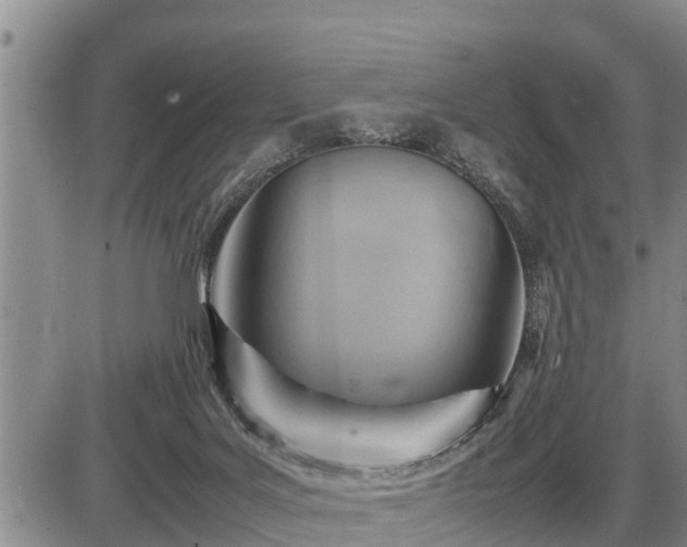 X0000087400027200704271658