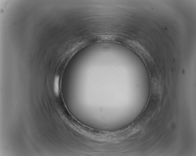 X0000087400028200704271658