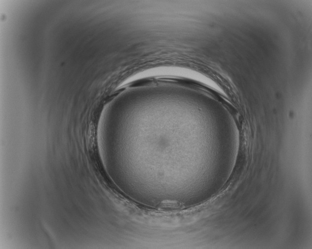 X0000087400029200704271658