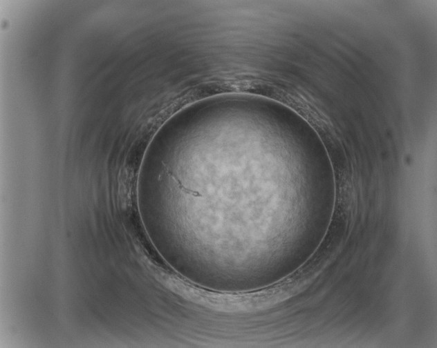 X0000087400030200704271658