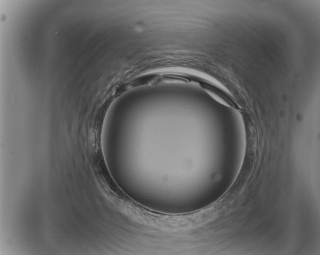 X0000087400031200704271658