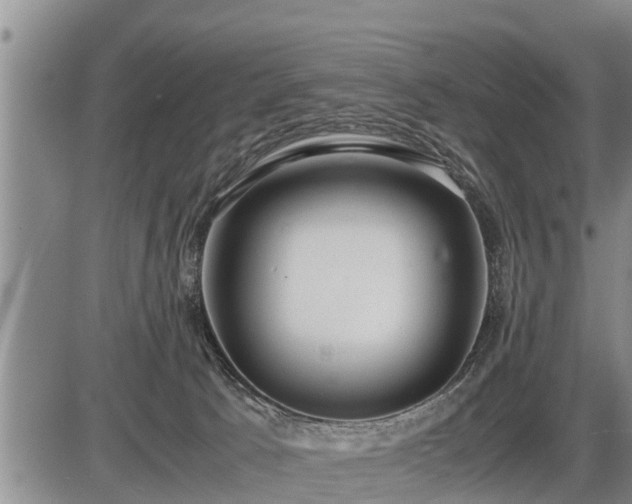 X0000087400033200704271658