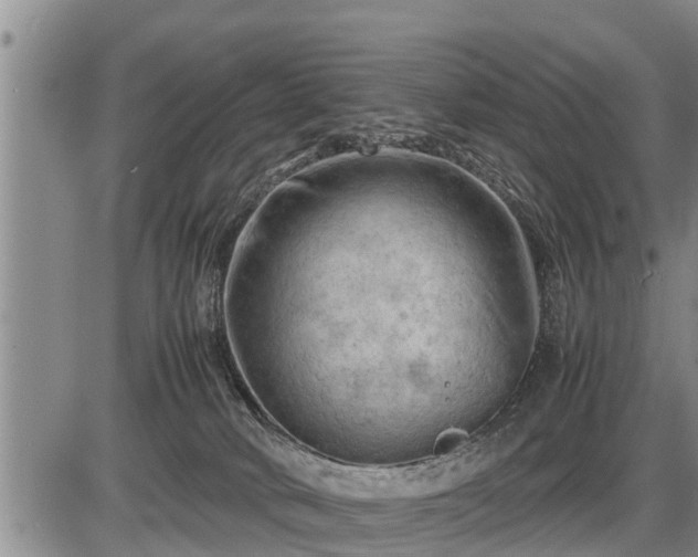 X0000087400034200704271658