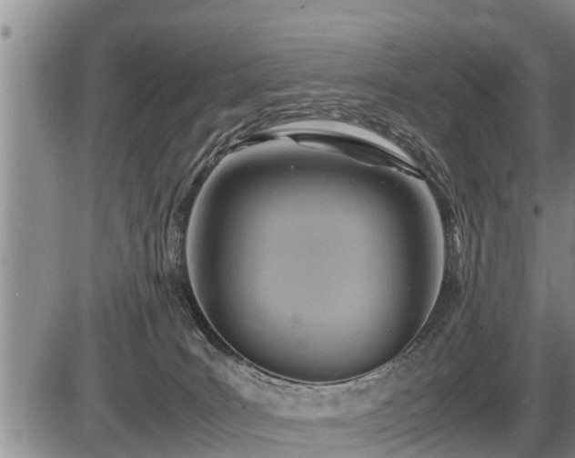 X0000087400035200704271658