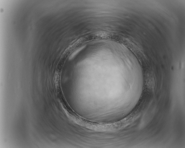 X0000087400036200704271658