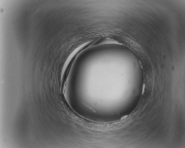 X0000087400037200704271658