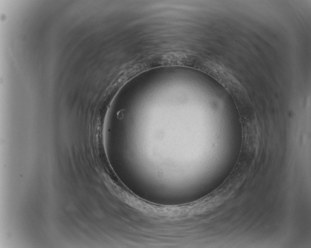 X0000087400038200704271658