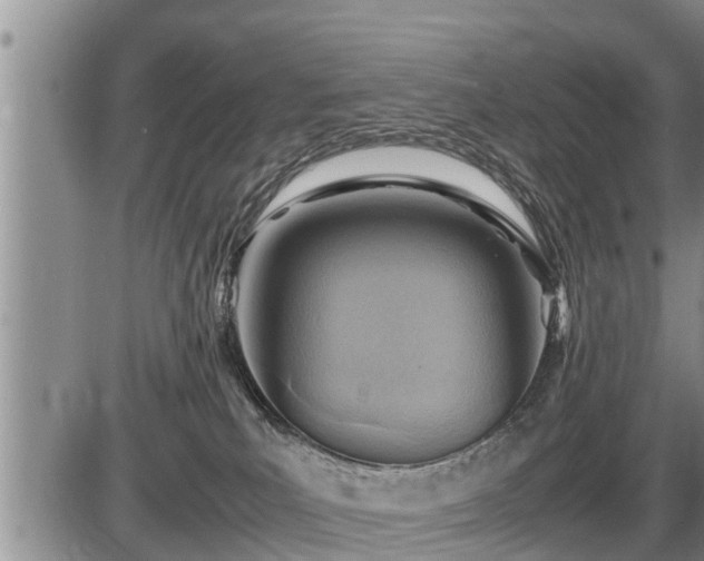 X0000087400039200704271658