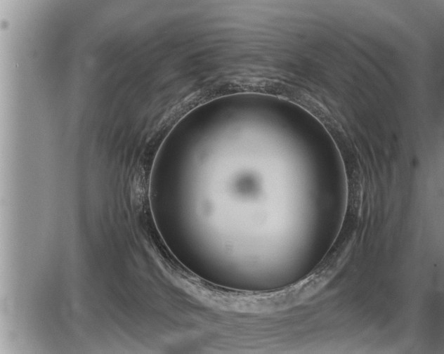 X0000087400040200704271658