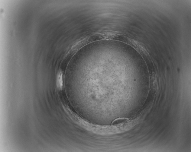 X0000087400042200704271658