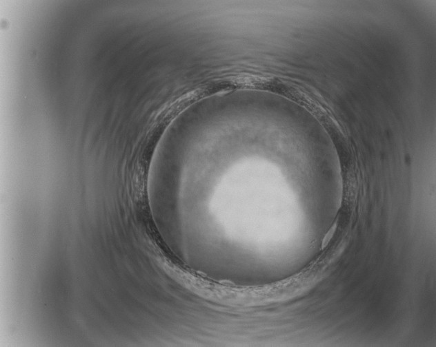 X0000087400043200704271658