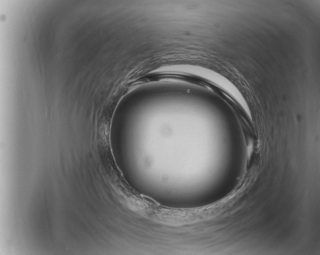 X0000087400045200704271658