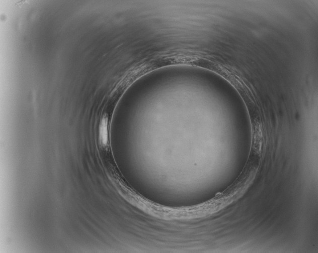 X0000087400046200704271658