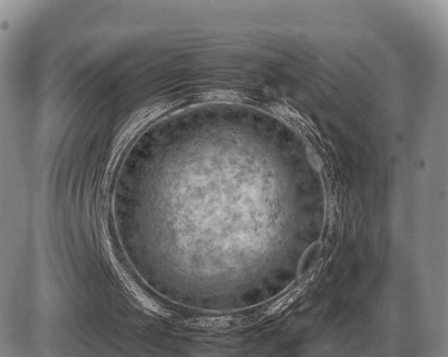 X0000087400049200704271657