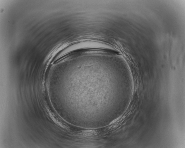 X0000087400050200704271657