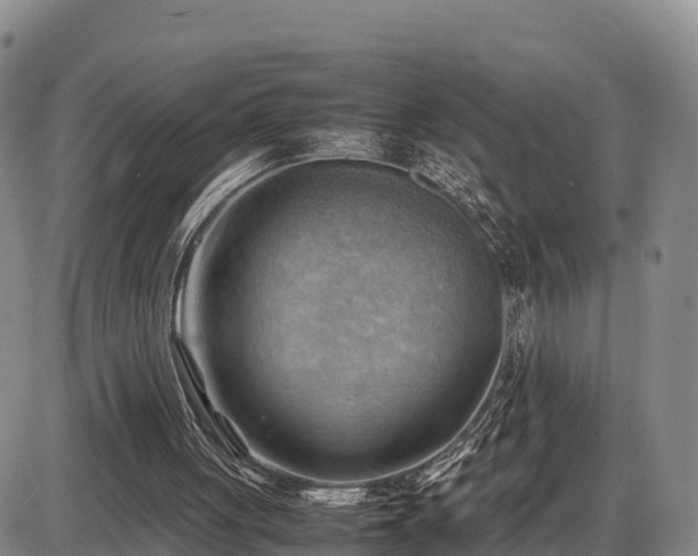 X0000087400051200704271657