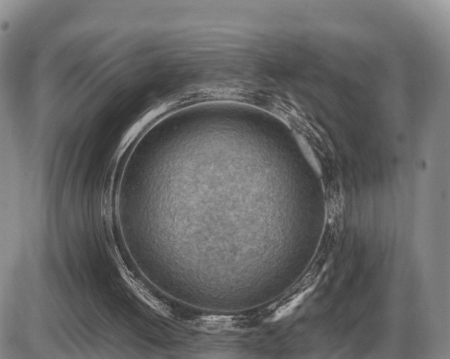 X0000087400052200704271657