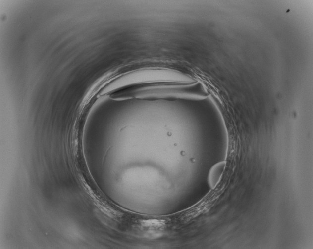 X0000087400053200704271657