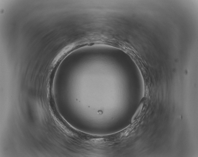 X0000087400054200704271657