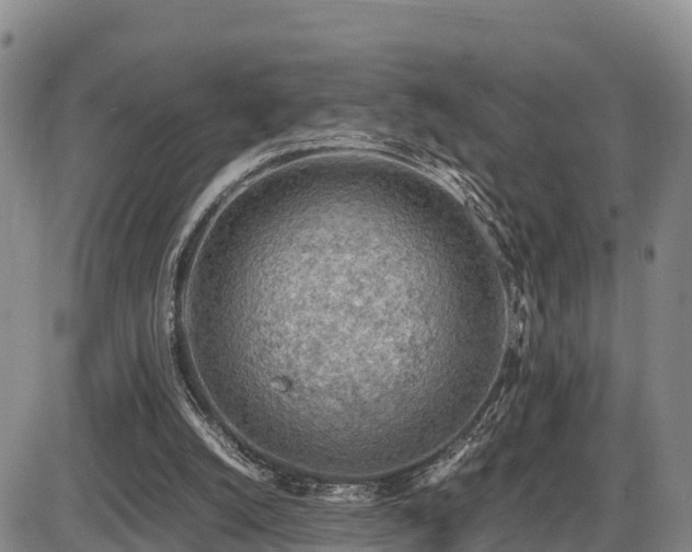 X0000087400056200704271657