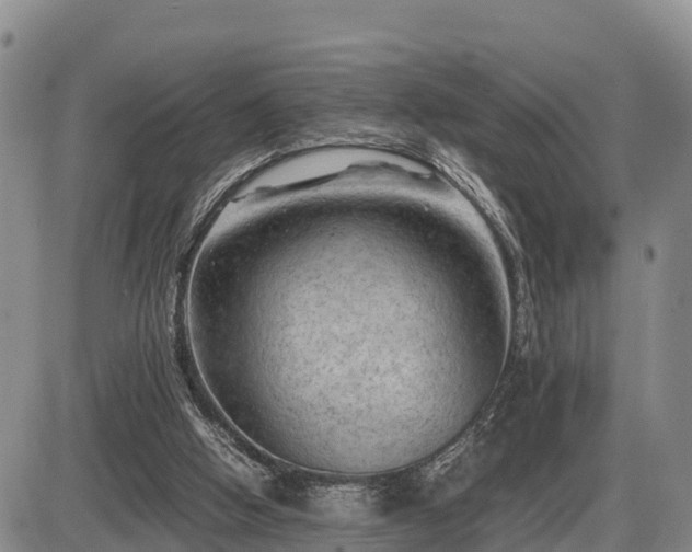 X0000087400058200704271657