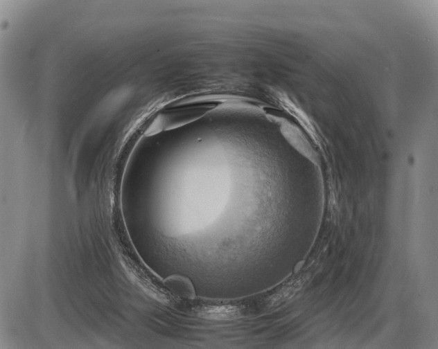 X0000087400059200704271657