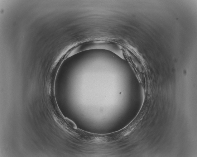 X0000087400060200704271657