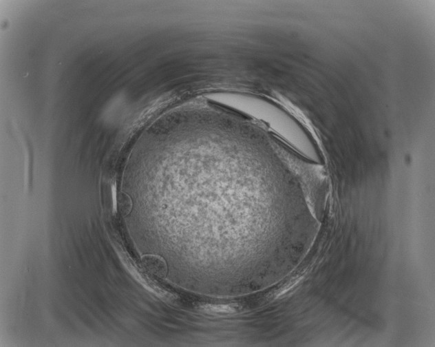 X0000087400061200704271657