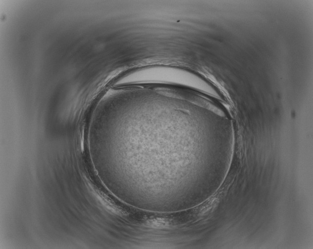 X0000087400062200704271657