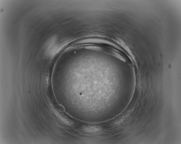 X0000087400063200704271657