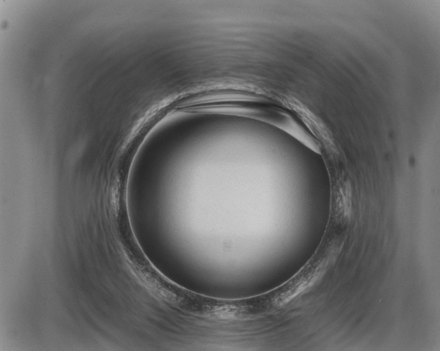 X0000087400064200704271657