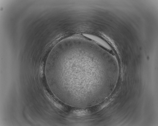 X0000087400065200704271657