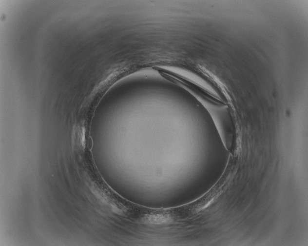 X0000087400067200704271657