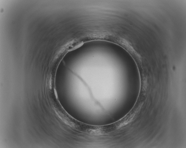 X0000087400068200704271657