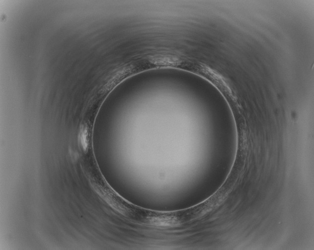 X0000087400069200704271657