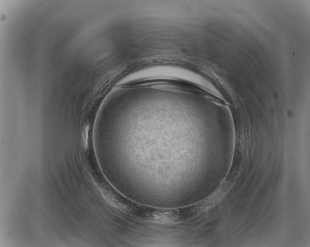 X0000087400070200704271657