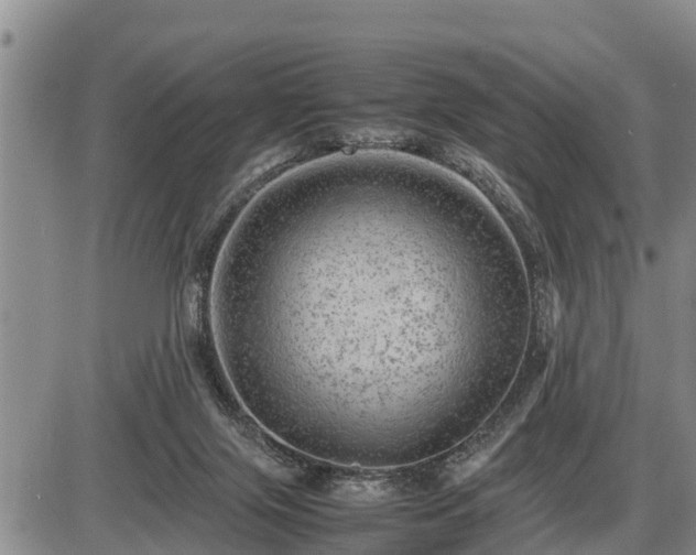 X0000087400071200704271657