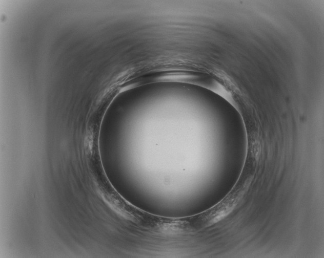 X0000087400072200704271657